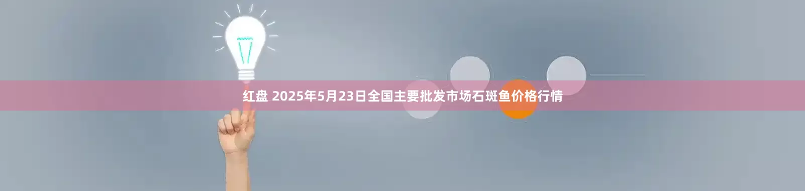红盘 2025年5月23日全国主要批发市场石斑鱼价格行情