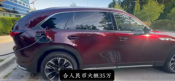 融亿操盘 连触屏都不能用？华人博主吐槽海外新能源车，跟中国车没法比
