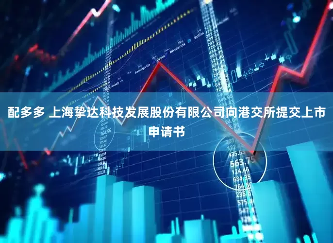 配多多 上海挚达科技发展股份有限公司向港交所提交上市申请书